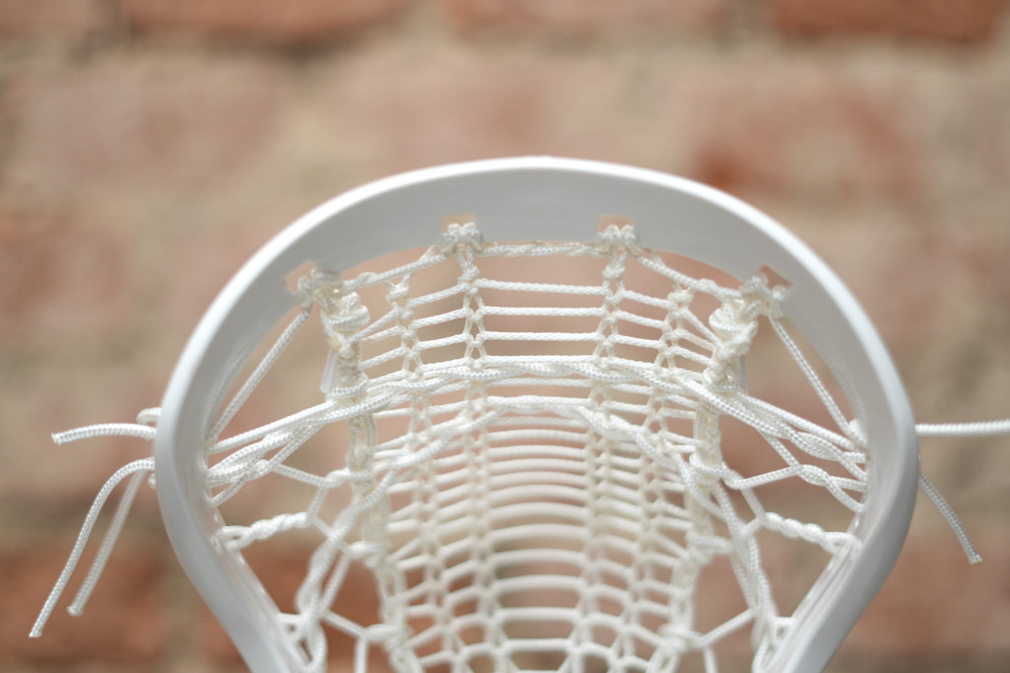 Women's Head - Strung