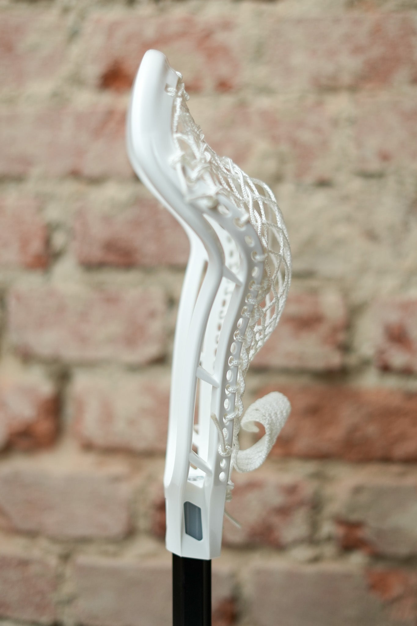 Women's Head - Strung