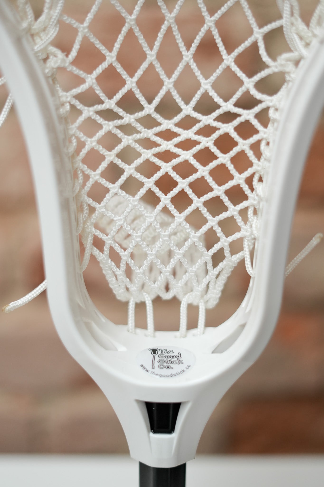 Women's Head - Strung
