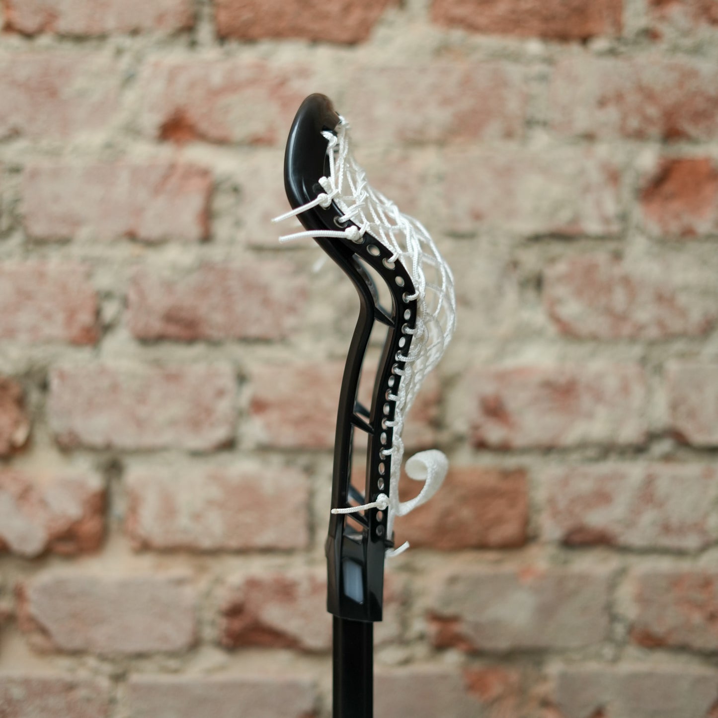 Women's Head - Strung