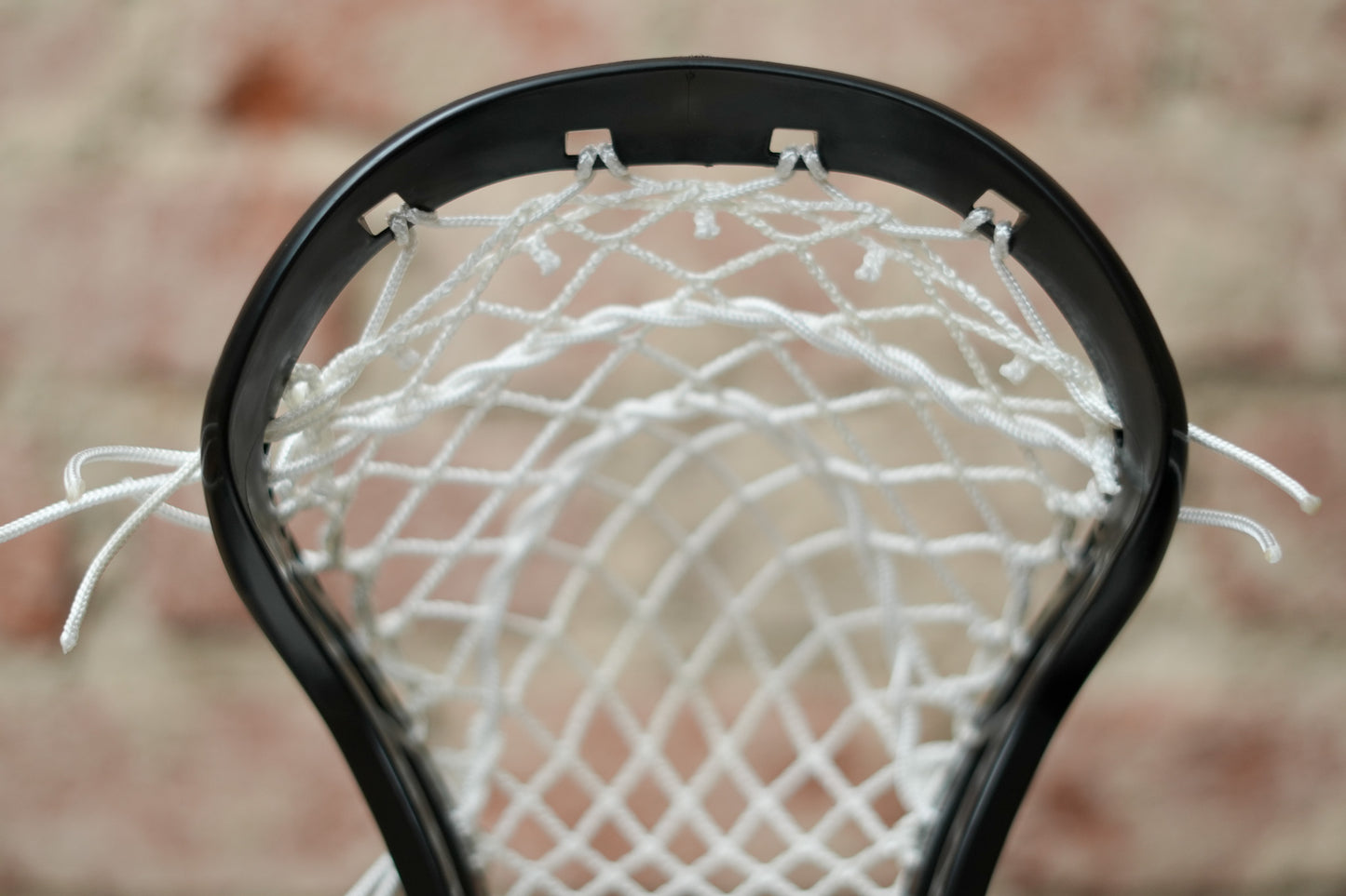 Women's Head - Strung