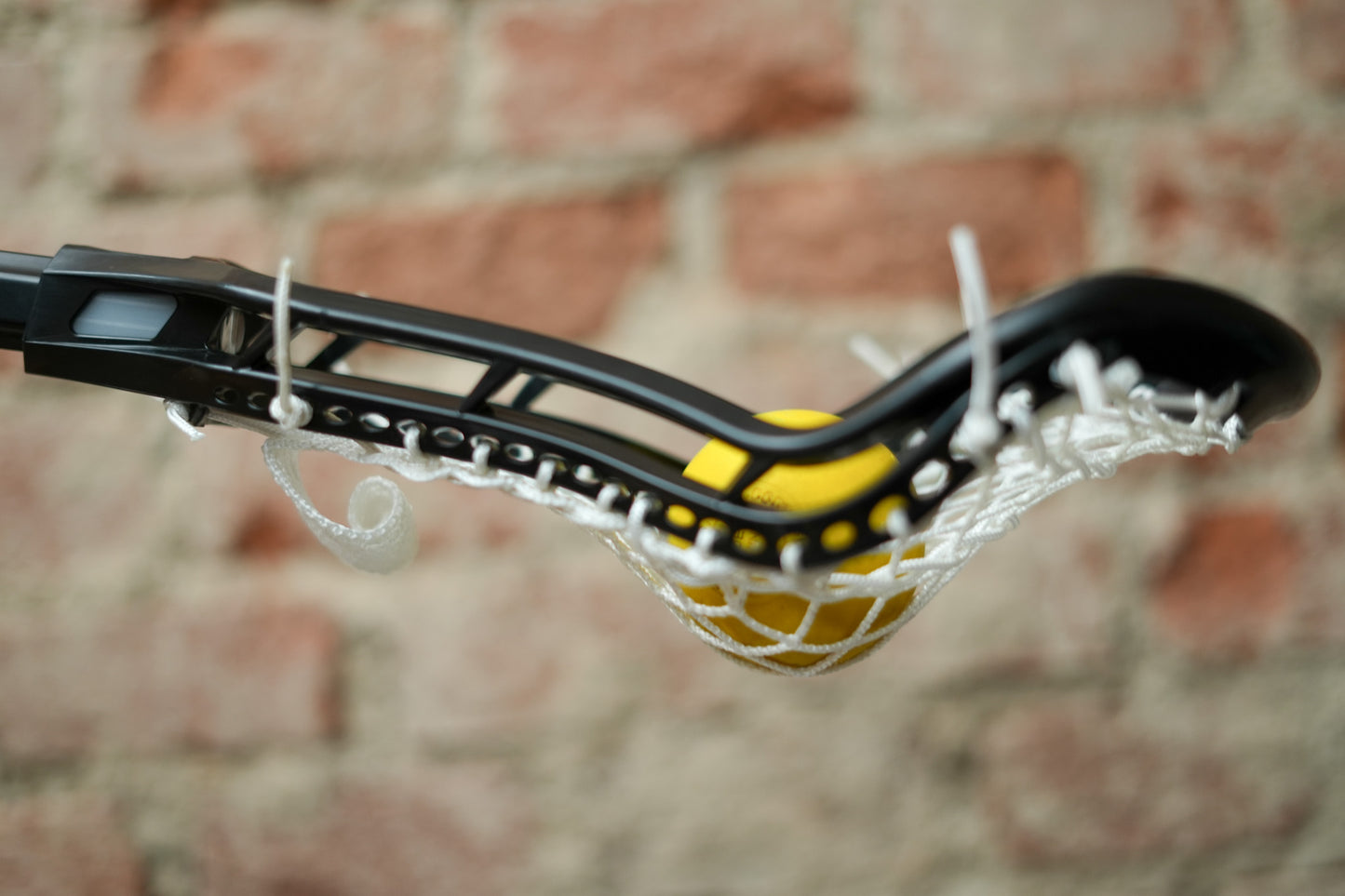 Women's Head - Strung